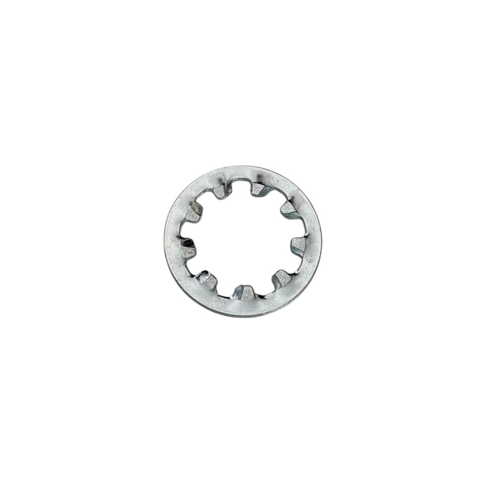 Locking Washer (10mm) WF110001L